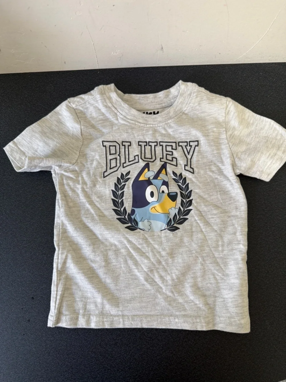 Kids' Bluey Graphic Tee - Light Gray